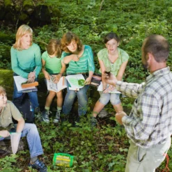 Let's do it class – educație pentru ecologizare